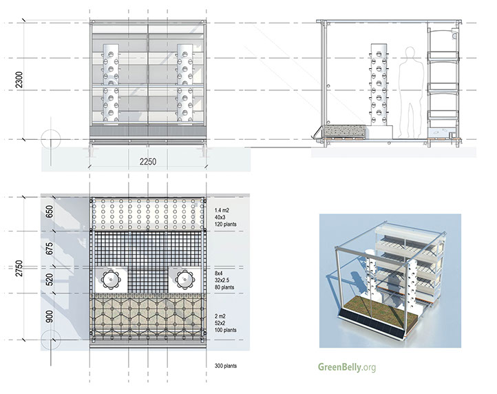 Vertical Urban Garden