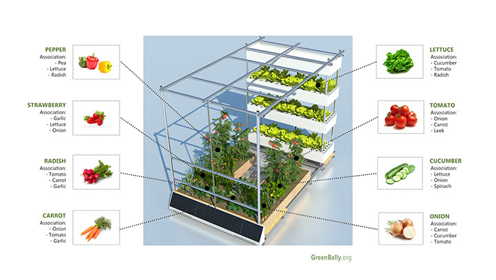 Vertical Urban Garden for modern cities